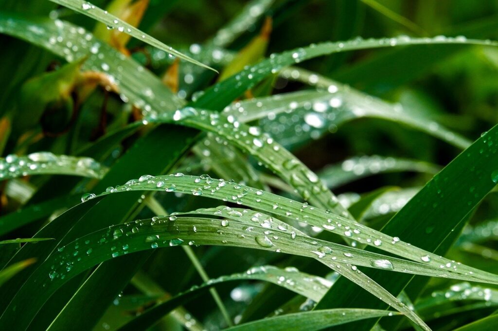 衣替えをスムーズにするためのクローゼットの湿気対策は？