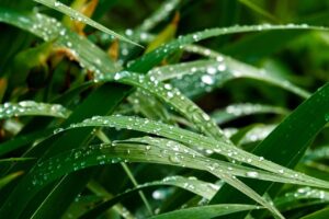 衣替えをスムーズにするためのクローゼットの湿気対策は？