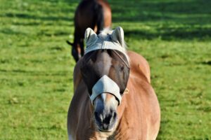 衣替えに使う防虫剤の種類とその違いは？