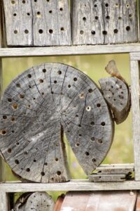 衣替えに最適な防虫剤の種類とその違いは？