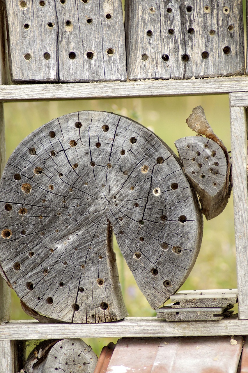 衣替えに最適な防虫剤の種類とその違いは？