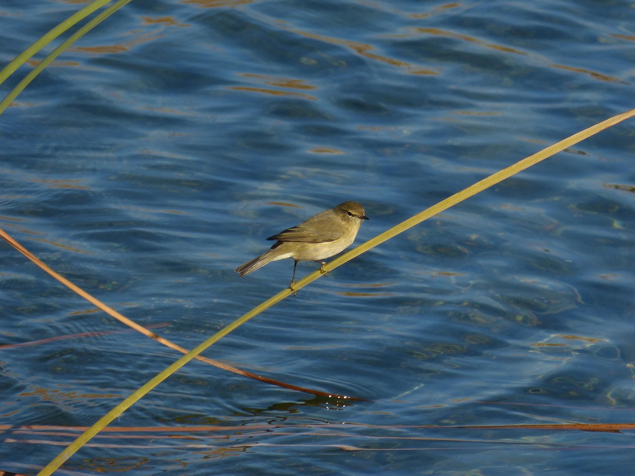 衣替えの季節に必要な虫食い防止対策は？