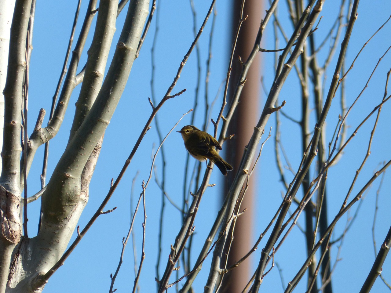 衣替えの際に知っておきたい虫食い防止対策は？