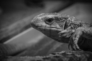 衣替えのやる気が出ない時の対策は？