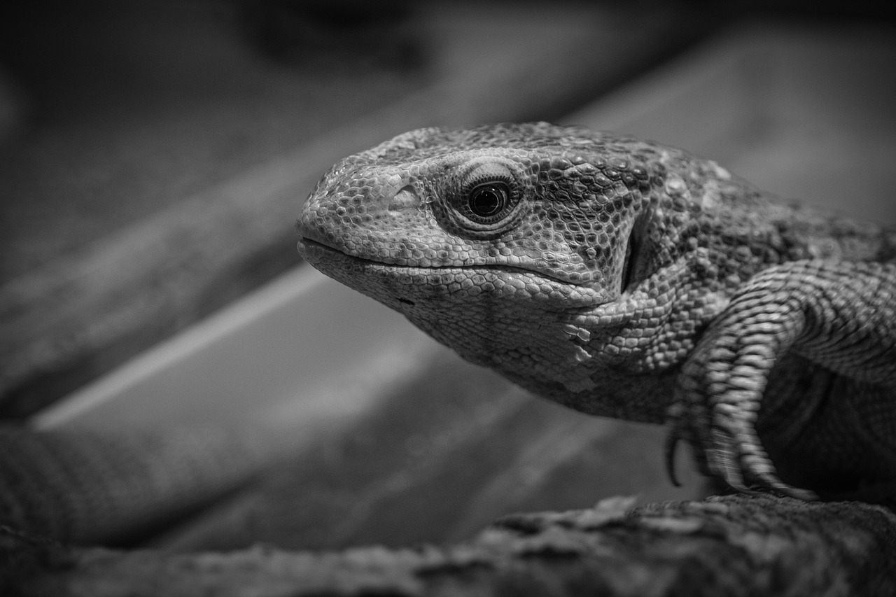 衣替えのやる気が出ない時の対策は？