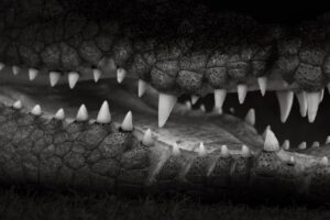 衣替えの際に汗染みを放置することの危険とは？