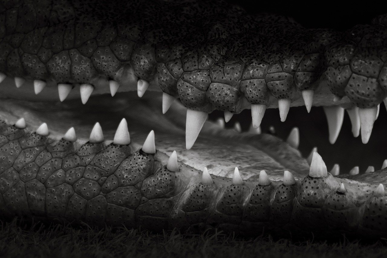 衣替えの際に汗染みを放置することの危険とは？