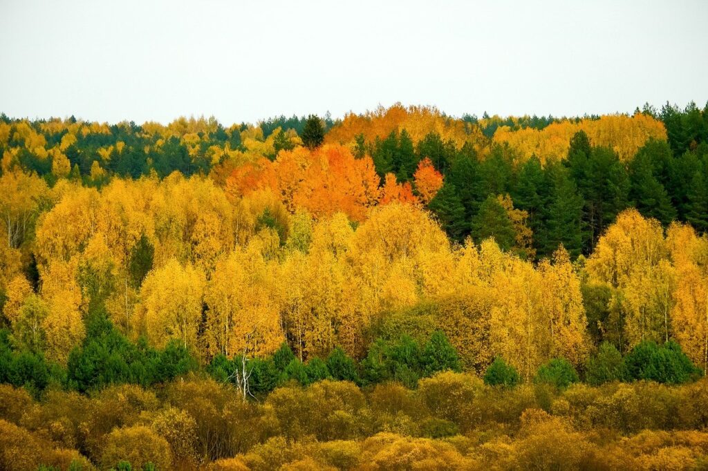 10月の衣替えの時期はいつからが目安？