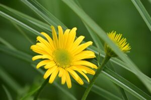 衣替えに最適な収納ハンガーのおすすめは？