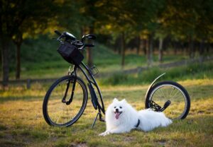 衣替えに最適な収納方法とおすすめの衣装ケースは？