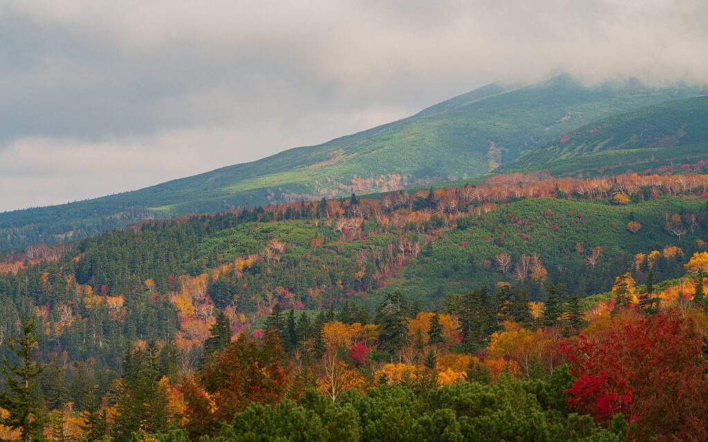 衣替えが秋の北海道ではいつから始まるの？