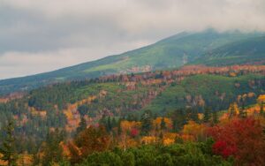 衣替えが秋の北海道ではいつから始まるの？