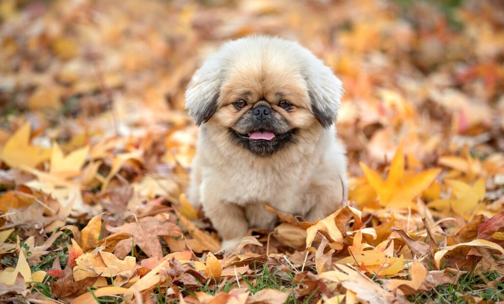 衣替えで暮らしが整うための収納のコツは？