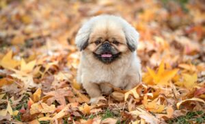 衣替えで暮らしが整うための収納のコツは？