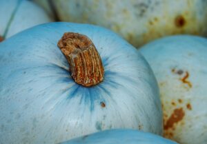 衣替えの秋、福岡での衣替え時期はいつがベスト？