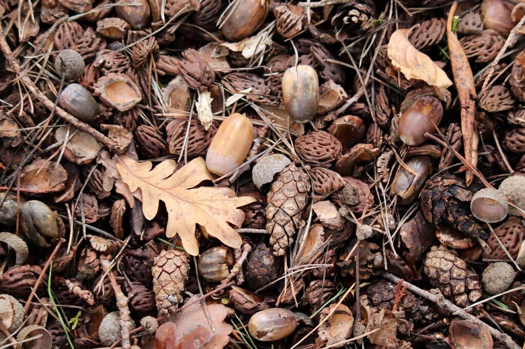 衣替えは秋の関東でいつから始めるべき？