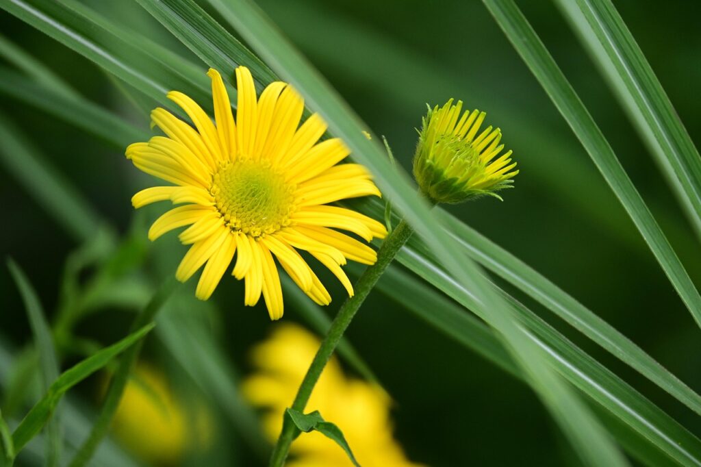 衣替えを簡単にする使いやすいクローゼットの作り方は？