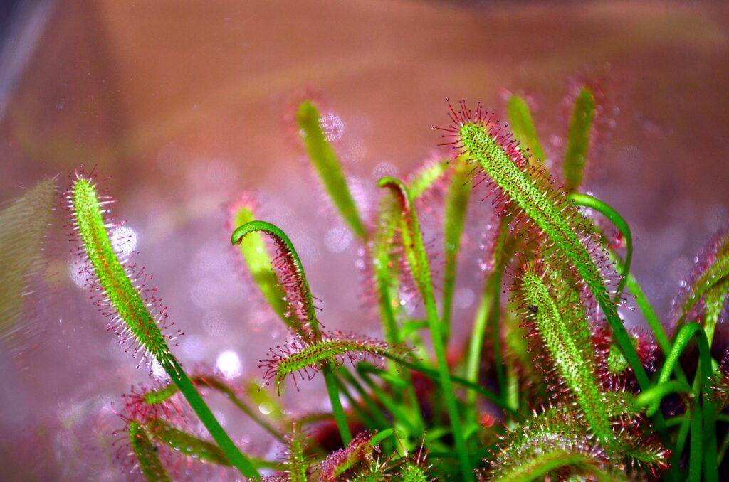 衣替えでの虫食い防止に最適な方法は？