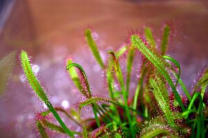 衣替えでの虫食い防止に最適な方法は？