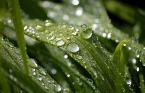 衣替えに最適な湿気対策はクローゼットでどうする？