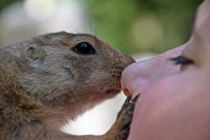 衣替えの注意点は何？失敗しないために知っておくべきこと